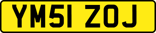 YM51ZOJ