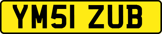 YM51ZUB