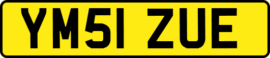 YM51ZUE