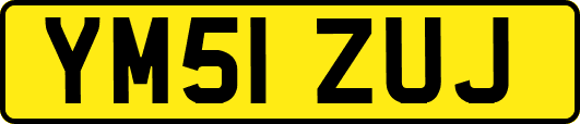 YM51ZUJ