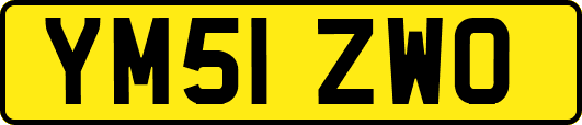 YM51ZWO