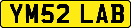 YM52LAB