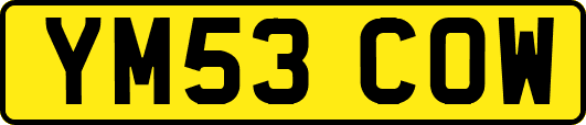 YM53COW