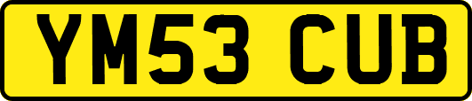 YM53CUB