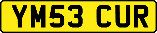 YM53CUR