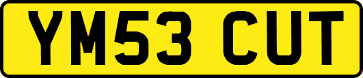 YM53CUT