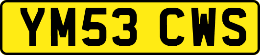 YM53CWS