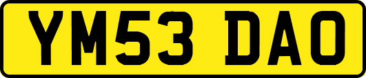 YM53DAO