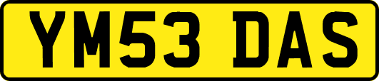 YM53DAS