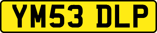 YM53DLP