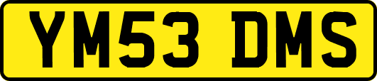 YM53DMS