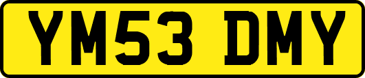 YM53DMY