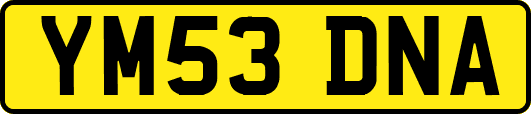 YM53DNA