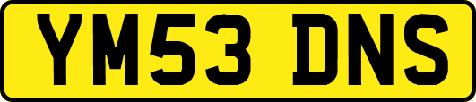 YM53DNS