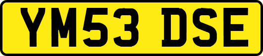 YM53DSE