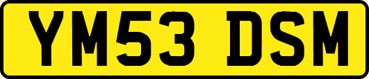 YM53DSM