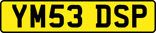 YM53DSP