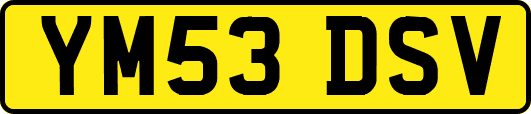 YM53DSV
