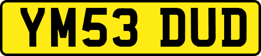 YM53DUD