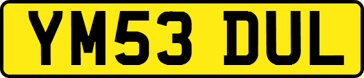 YM53DUL