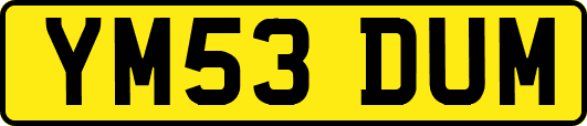 YM53DUM