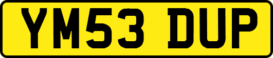 YM53DUP