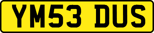 YM53DUS