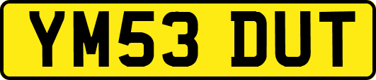 YM53DUT