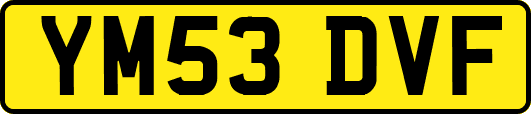 YM53DVF
