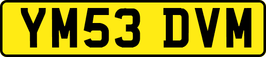 YM53DVM