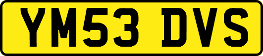 YM53DVS