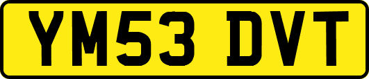 YM53DVT