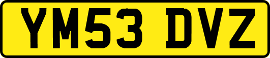 YM53DVZ