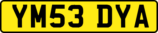 YM53DYA