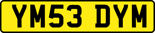 YM53DYM
