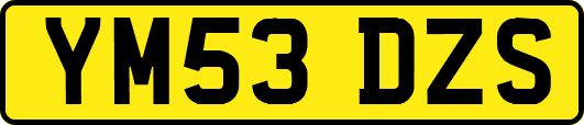 YM53DZS