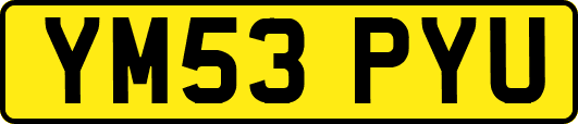 YM53PYU