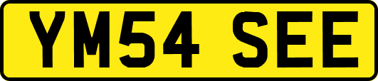 YM54SEE