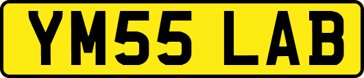YM55LAB