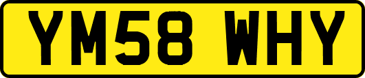 YM58WHY