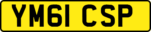 YM61CSP