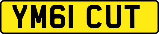 YM61CUT