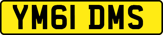 YM61DMS
