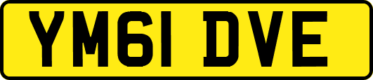 YM61DVE
