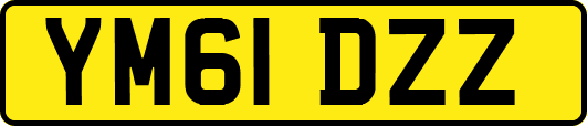 YM61DZZ