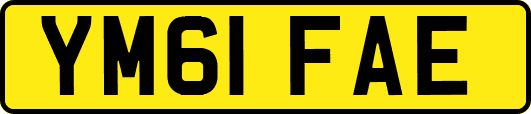 YM61FAE