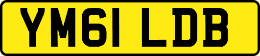 YM61LDB