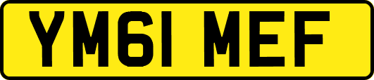 YM61MEF