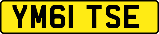 YM61TSE