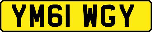 YM61WGY